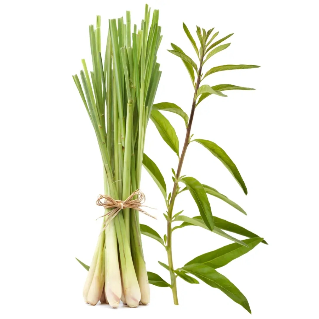 Lemon Grass Fragrance